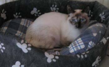 s Bild von Salina