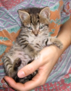 m Bild von Momo