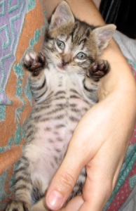 m Bild von Momo