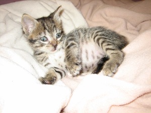 m Bild von Momo
