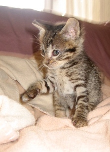 m Bild von Momo