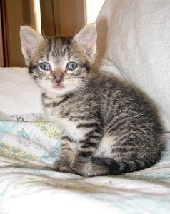 m Bild von Momo
