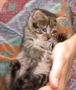m Bild von Momo