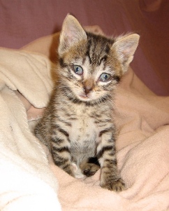 m Bild von Momo