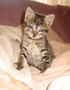 m Bild von Momo