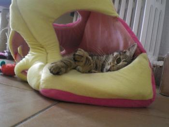 Ines Bild von Ines