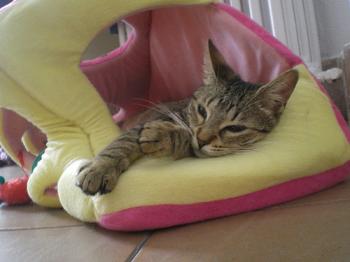 Ines Bild von Ines