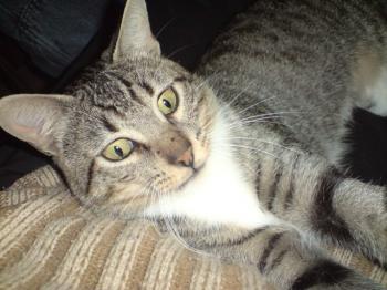 c Bild von Charlie