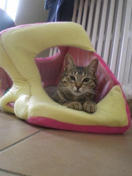Ines Bild von Ines