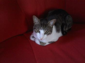 e Bild von Eguzki