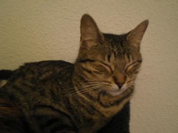Ines Bild von Ines