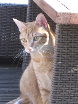 b Bild von Beba