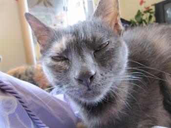 l Bild von Lulu