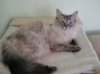 s Bild von Samantha