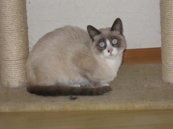 m Bild von Manchita