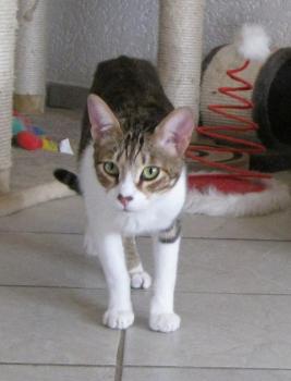 h Bild von Hansel