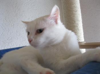 n Bild von Nube