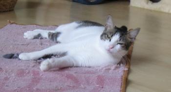 m Bild von Momo