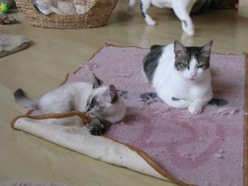 m Bild von Momo