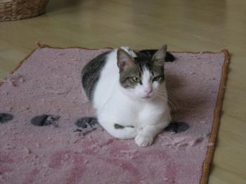 m Bild von Momo
