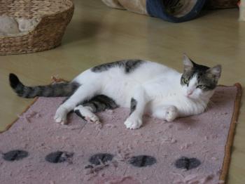 m Bild von Momo