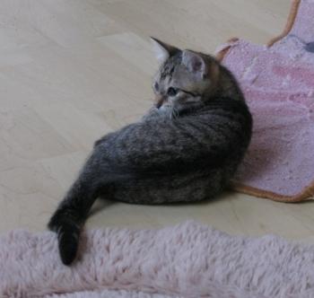 b Bild von Betty