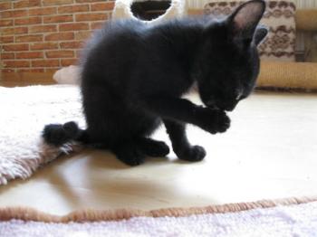 e Bild von Edward