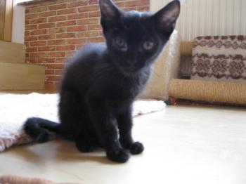 e Bild von Edward