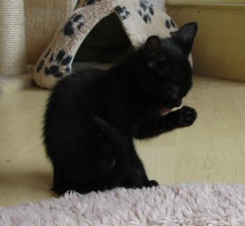 e Bild von Edward