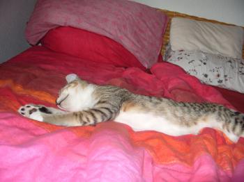 r Bild von Randy