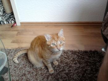 l Bild von Lissy