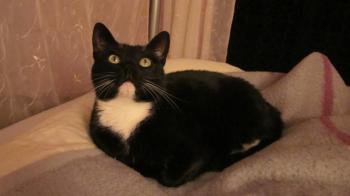 l Bild von Lilly