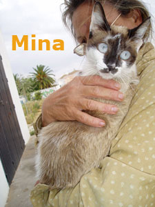 Bild von Mina