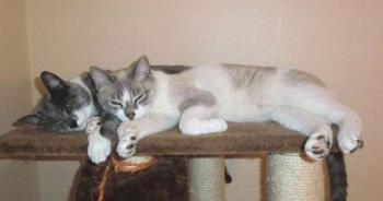 Sandrito und Daisy Bild von Sandrito