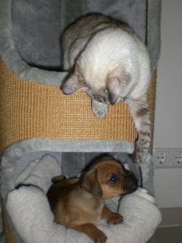 Bild von Nata
