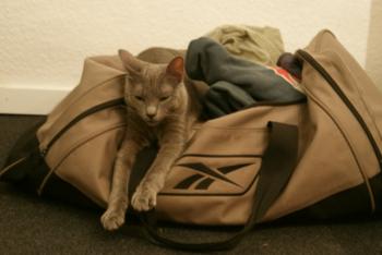 r Bild von Rainiero