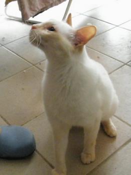 b Bild von Blanquita