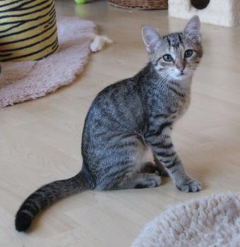 b Bild von Betty