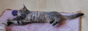 b Bild von Betty