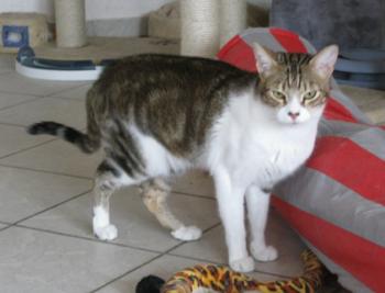 h Bild von Hansel