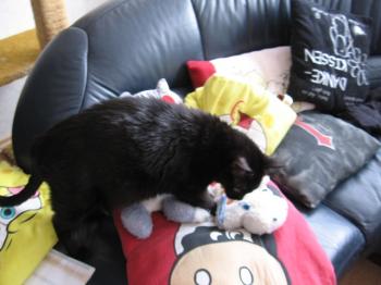 k Bild von Kelly