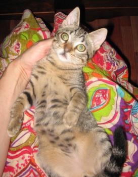 m Bild von Momo
