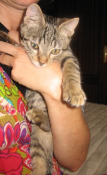 m Bild von Momo