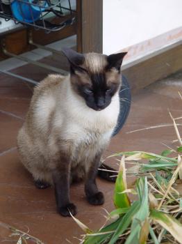 Bild von Mini