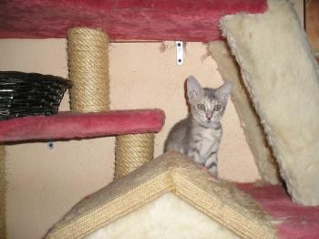 m Bild von Mona