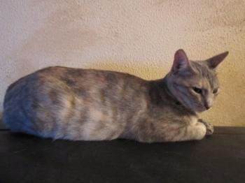 m Bild von Mona