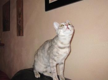m Bild von Mona