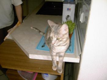 m Bild von Mona