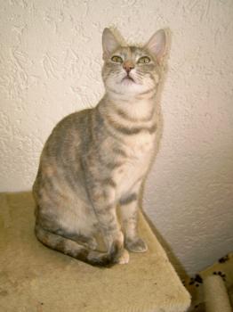 m Bild von Mona