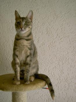 m Bild von Mona